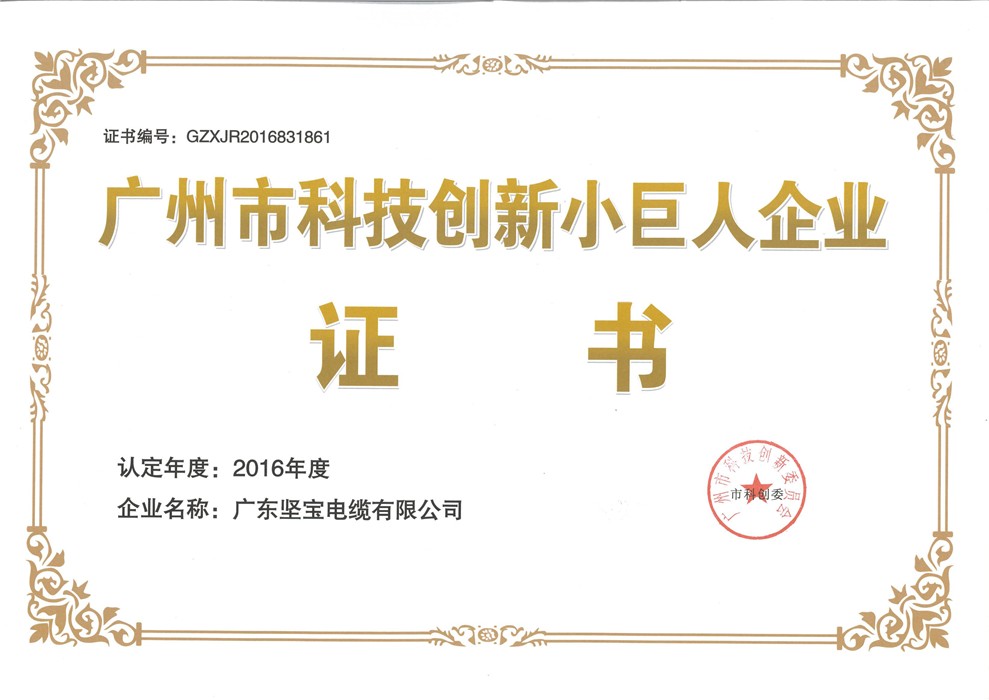 廣州市科技創(chuàng  )新小巨人企業(yè)證書(shū)