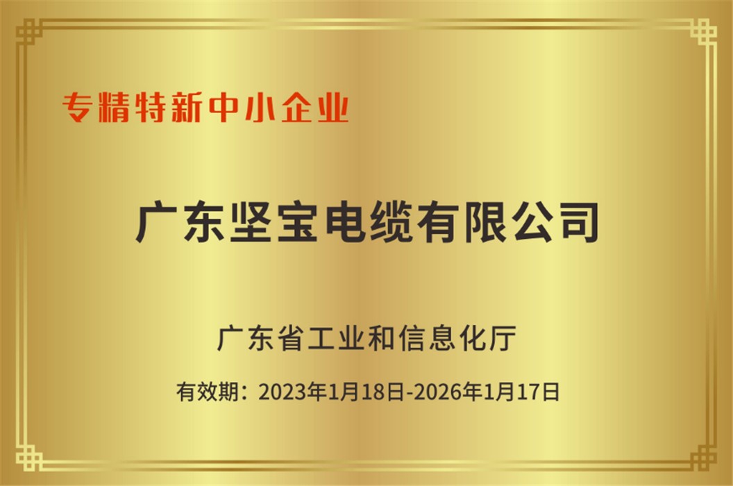 專(zhuān)精特新中小企業(yè)