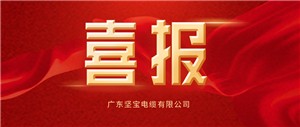 堅寶榮譽(yù)丨祝賀！堅寶榮登2022年廣東省“專(zhuān)精特新中小企業(yè)”榜單